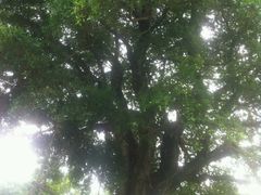 -汕头莲花山度假村温泉