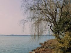 -长广溪湿地公园