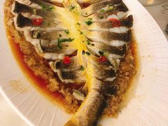 肉汁蒸海钓东海黄鱼-炳胜公馆(珠江新城店)