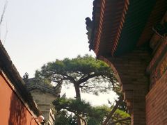 -西安市广仁寺
