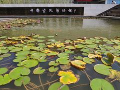 -中国宣纸文化园