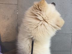 -联合动物医院(光谷诊疗中心)