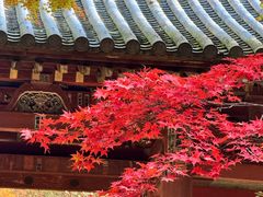-醍醐寺