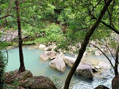 -广州白江湖森林公园