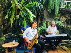 景观位-Fern Forest Cafe