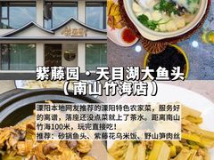 -紫藤园·天目湖大鱼头(南山竹海店)