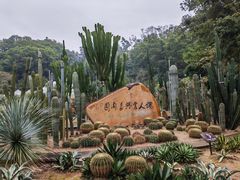 -深圳仙湖植物园
