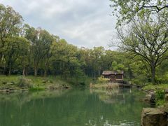 -杭州植物园