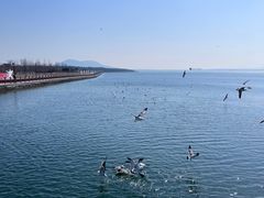 -烟墩角天鹅湖