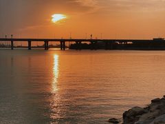 -宝安西湾红树林湿地公园