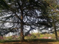 -花溪公园
