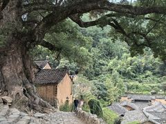 -杨家堂村