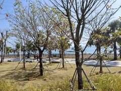 -大梅沙海滨公园