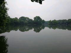 -西湖外事游船(花港观鱼码头)