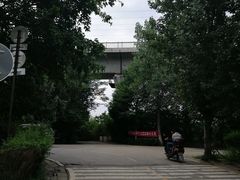 -三圣花乡旅游区