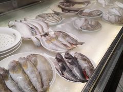 -日丰园海肠水饺·老字号大连海鲜(和平广场店)