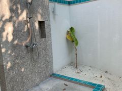 -中央格兰德岛温泉度假酒店 - 全包