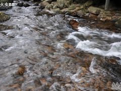 -广州市石门国家森林公园