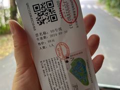 -盐城丹顶鹤湿地生态旅游区