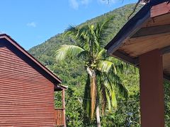 -海南热带雨林国家公园吊罗山景区