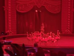 -珠海横琴长隆《卡卡虎奇遇记》