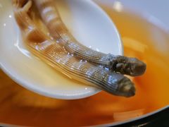 -北京四季酒店·采逸轩