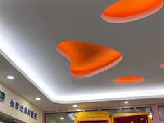 -全心全意连锁动物医院·微创中心·内科急重症·心脏专科(丰管路店)