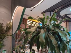 -烹然四季椰子鸡火锅(姚家园万象汇店)