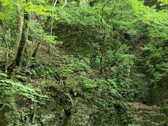 -本溪汤沟绿石谷森林公园