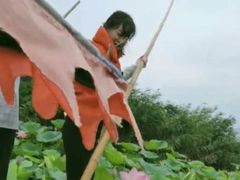 -白洋淀景区