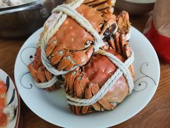 -蟹天蟹地农家菜·阳澄湖大闸蟹(浅水湾店)