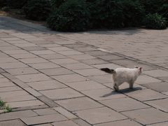 -大钟寺古钟博物馆