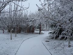 -南开大学滨海学院