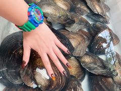 -八仔大富楼·河鲜(西江店)