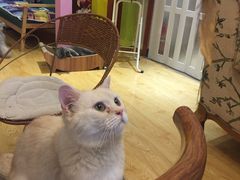 -万小咖.猫咖(中山路天虹店)