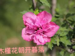 -陕西省西安植物园