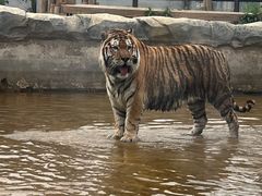 -祥源·阜阳生态乐园