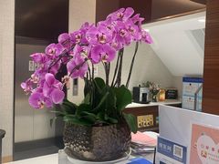 -TSK齿科德申会口腔门诊·联洋诊所