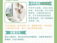-研筑国际设计事务所(总店)