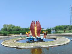 -白洋淀风景区