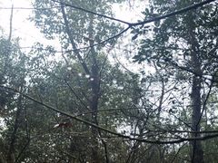 -杭州植物园