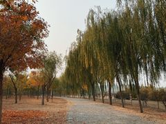 -西青郊野公园