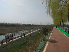 -洨河生态公园