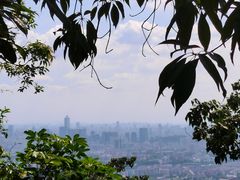-火炉山森林公园