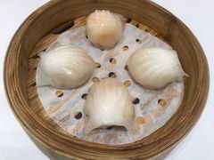 虾饺-圣丰盛宴酒家(东城店)