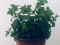 -中南·世纪雅苑