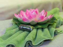 -泰享受·泰式按摩·SPA(海珠琶洲新村店)