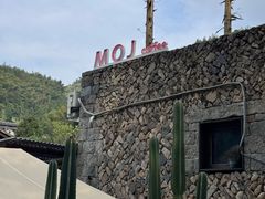 -MOJ coffee(瓯海泽雅水碓坑店)