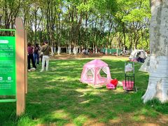 -宜兴龙背山森林公园