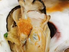 生蚝-财神鸡煲(华强北店)